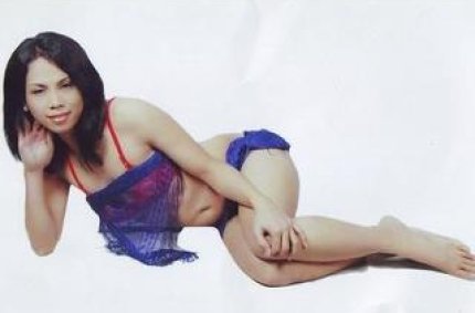 Profil von: AmazingShemale - LiveSearch-Tags: galerie transvestiten, transsexuelle und porno