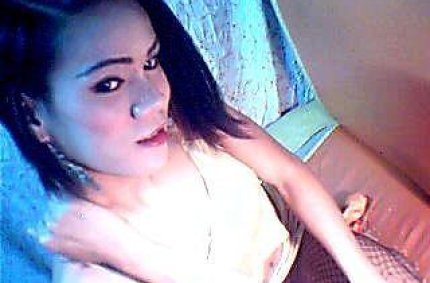 Profil von: ShemaleKim - LiveSearch-Tags: videos amateur gay, schwul maenner