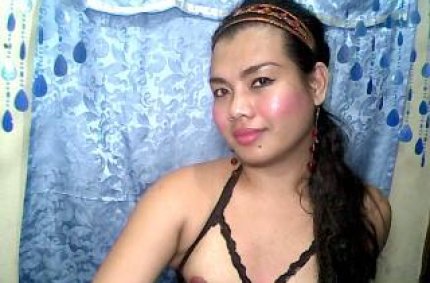 Profil von: SweetShemaleLucy - LiveSearch-Tags: transvestitenbilder, edeltranssexuelle